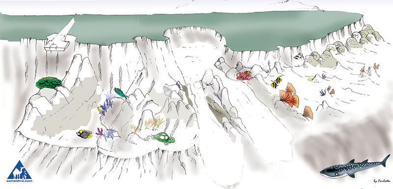 Ras Nasrani dive site map - Sharm El Sheikh